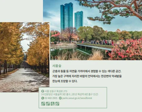 자료=서울관광재단