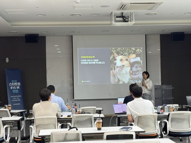 ‘제33회 스타트업 815 IR 연합’ 참여 기업의 IR 발표 모습