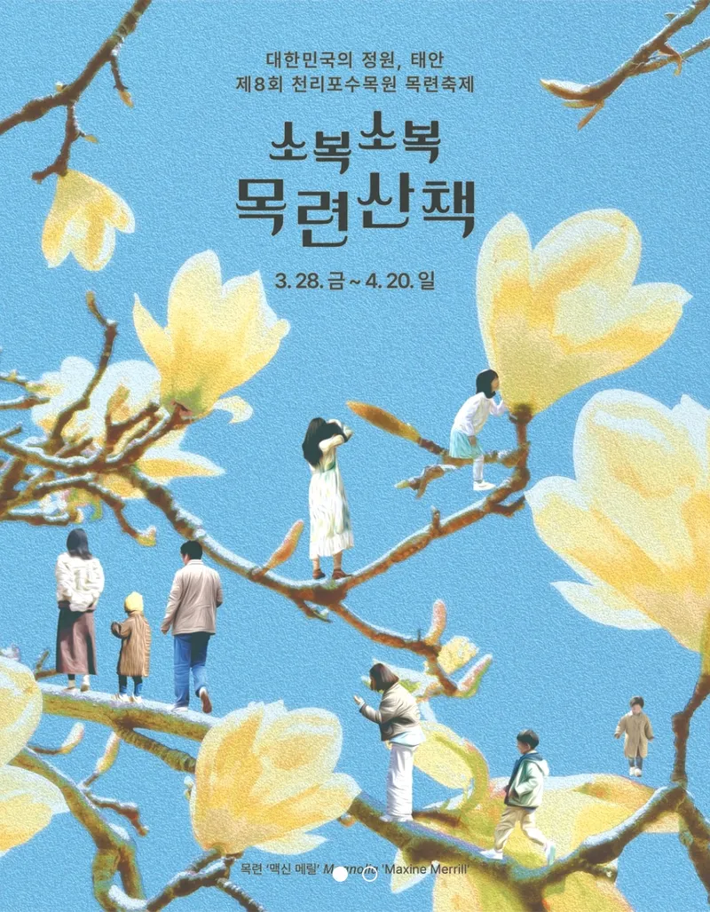 ▲ 천리포수목원 목련축제. 사진=천리포수목원