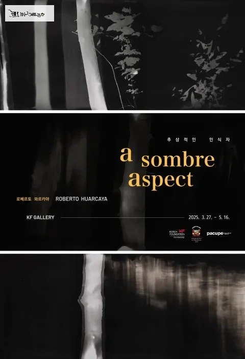 ‘추상적인 인식자’ 전시 포스터 / 주한페루대사관 제공