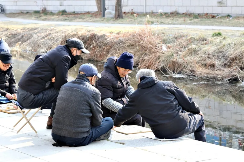 햇볕 아래에서 장기 두는 어르신들