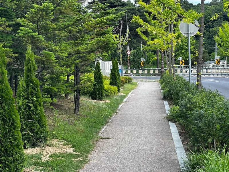 자료 사진
