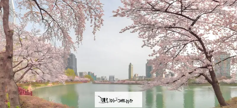 ▲ KAN 독자제공