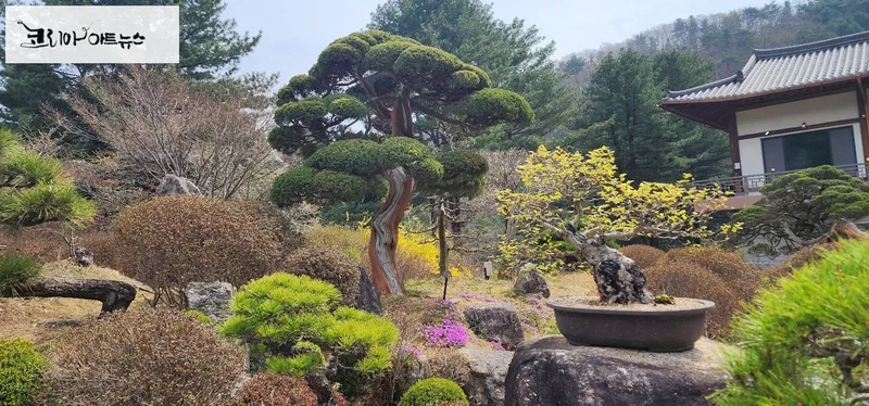 ▲ 사진제공 = 한국문학사랑신문 이사장 정해정