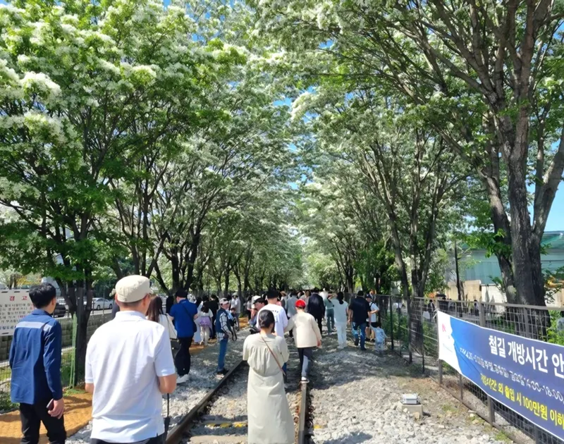▲ 전주시제공