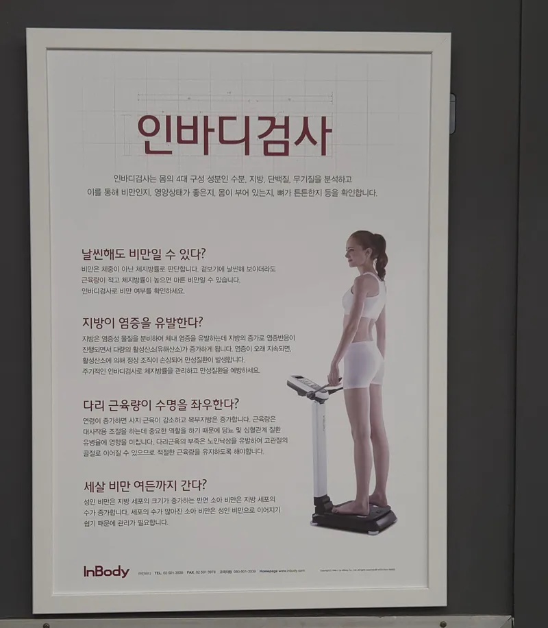 ▲ 이청강기자 제공