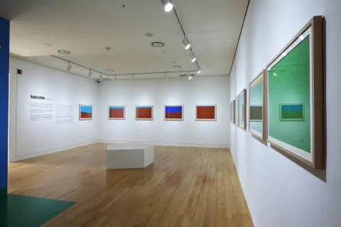 ‘Raw Expression: The Art of Outsiders’ 전시 포스터 / 벗이미술관 제공