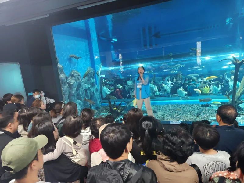 충북아쿠아리움 수중공연