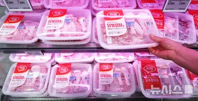 “수입 닭고기 판도 재편”…아르헨티나, 브라질 공백 속 시장확장→식품산업 변화