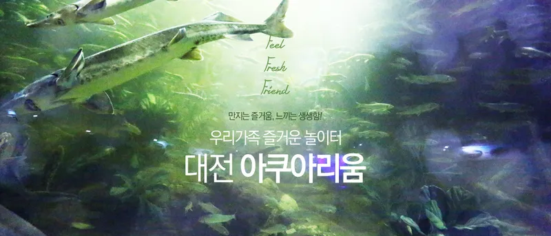출처: 대전 아쿠아리움