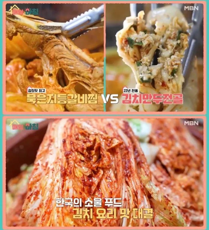 MBN ‘매일아침’ 방송 캡처