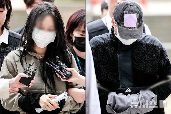 뉴시스