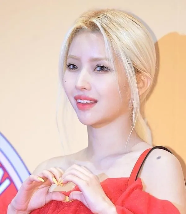 출처=오픈버스