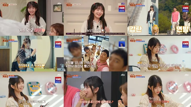 “엉뚱함 속 솔직 반전”…아이브 레이, ‘집 나가면 개호강’에서 MZ 매력→분위기 장악 / JTBC