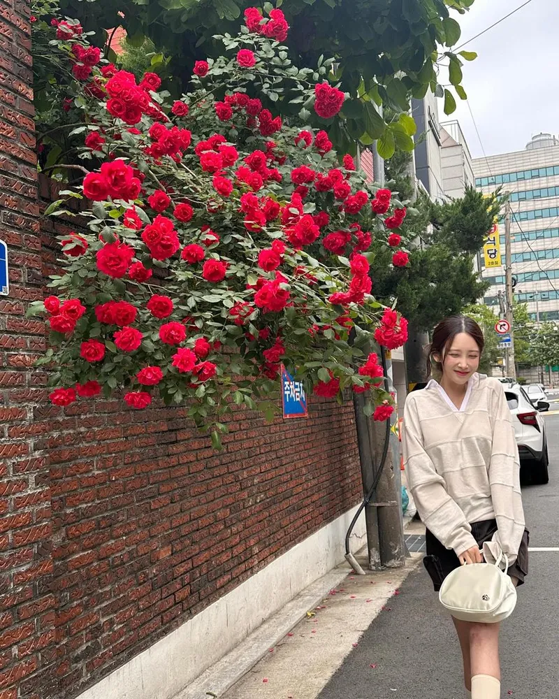 “조용한 산책길, 붉은 장미 아래”…유지애, 청초한 미소→초여름 감성 산책 / 걸그룹 러블리즈 유지애 인스타그램