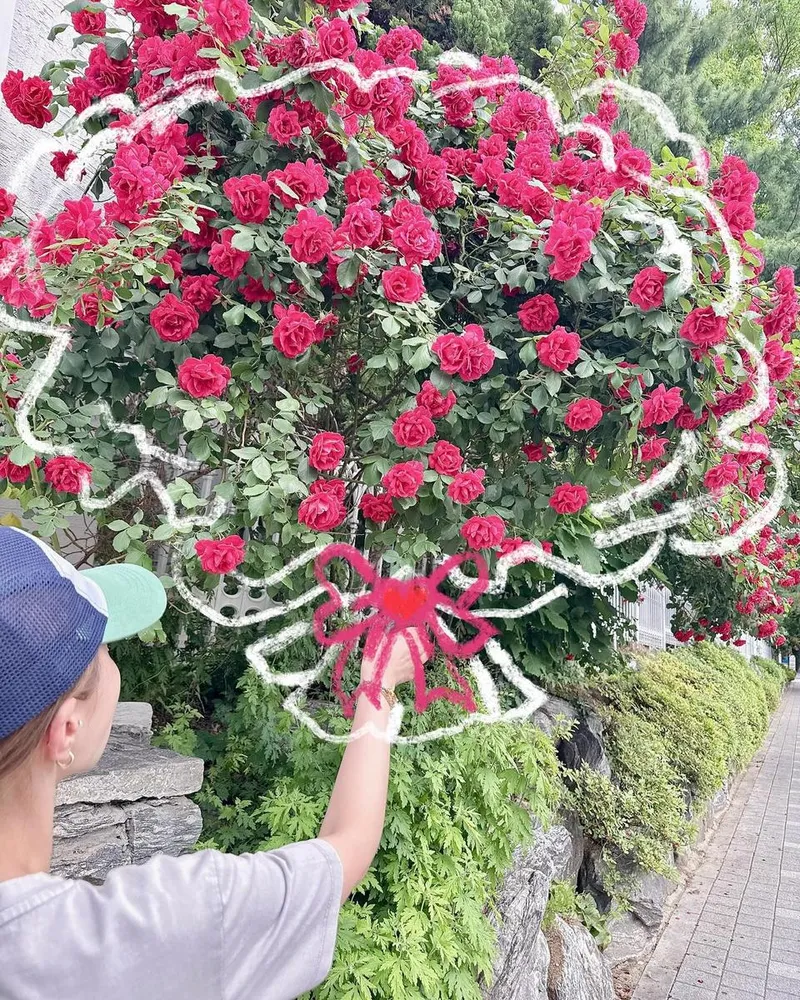 “잘 그리진 못 했지만, 유행은 도전”…신지, 장미 만개한 거리→따스한 봄날 장면 / 코요태 신지 인스타그램