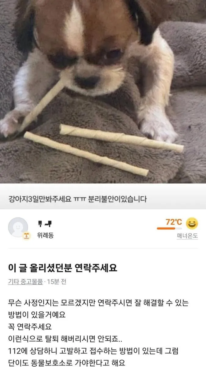 반려동물 P2P 돌봄 빈틈