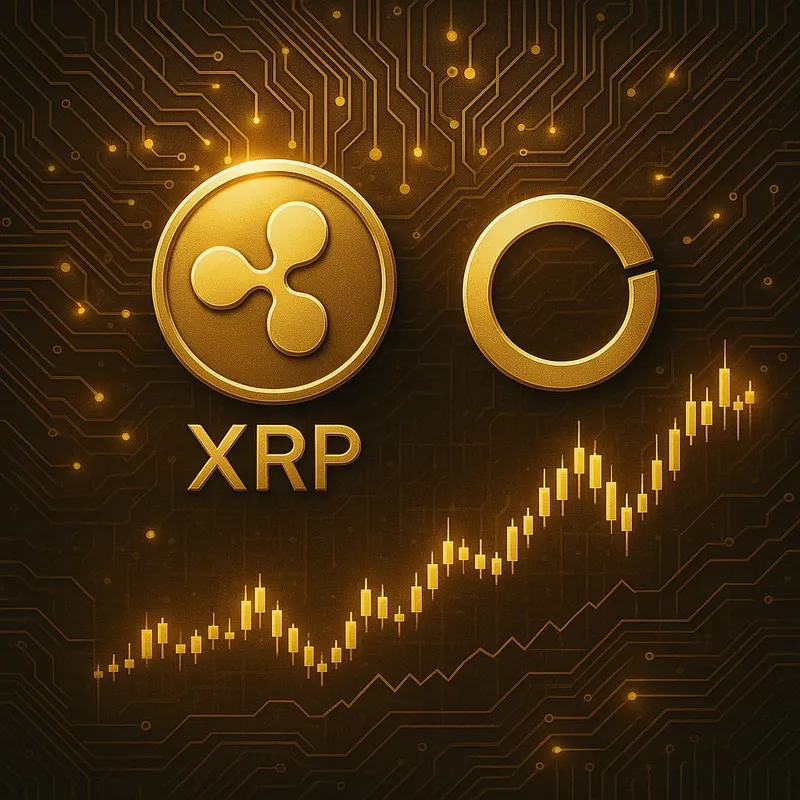 리플, 서클 인수 시 ‘리플 XRP’로 자금 유입 가능성… 5조 원 넘는 판돈에 시장 주목