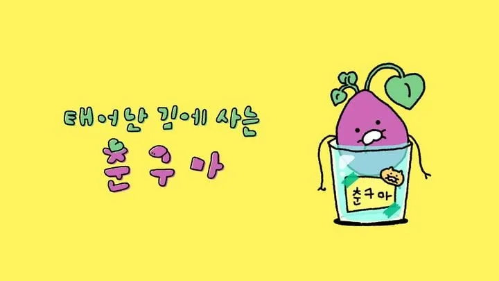 카카오프렌즈 춘구마 확장
