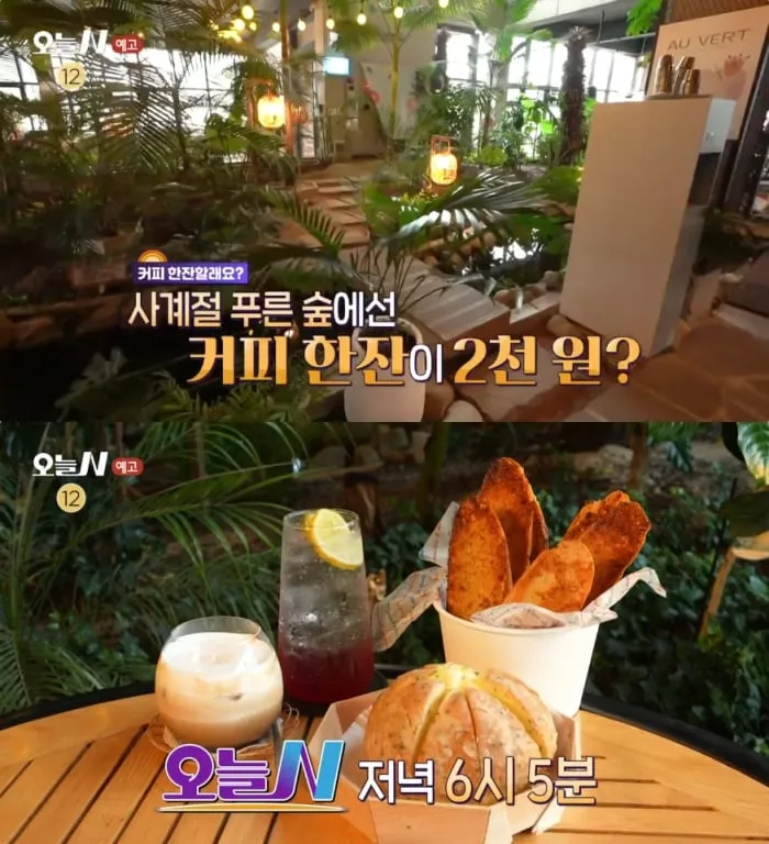 MBC ‘오늘N’ 방송 캡처
