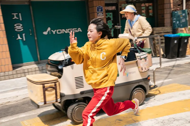 NEW 제공
