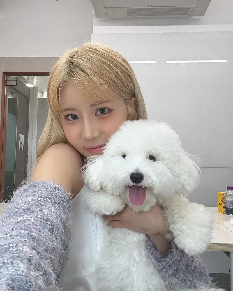 “버터와 함께 하는 하루”…시아지우, 맑은 미소→따스한 반려견 사랑 / 가수 시아지우 인스타그램