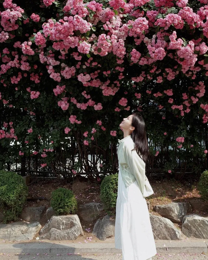 “장미를 올려다본 순간”…홍화연, 햇살 아래→여름 감성 폭발 / 배우 홍화연 인스타그램