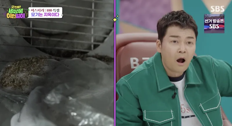 SBS ‘와! 진짜? 세상에 이런일이’ 방송 캡처