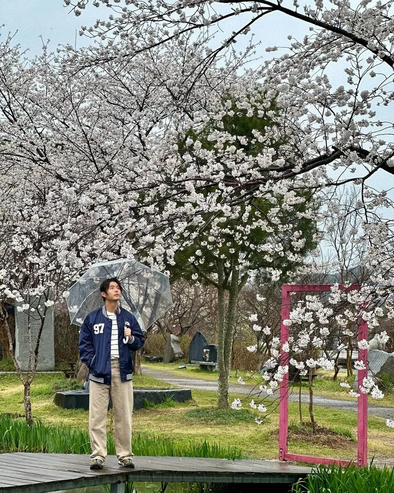 “하준과의 마지막 여행길”…최대훈, 벚꽃 비 내린 봄→감성 충만 산책 / 배우 최대훈 인스타그램