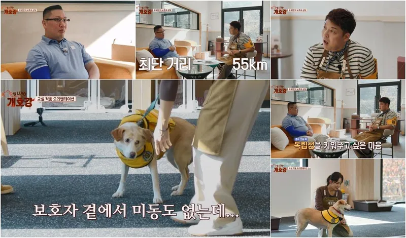 “견생 바꿔주겠다”…전현무·로또, 55km 기적의 인연→끝내 눈물 / JTBC