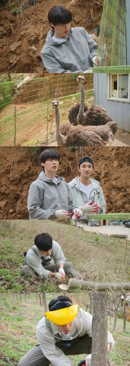 출처=KBS2TV '가는정 오는정 이민정'