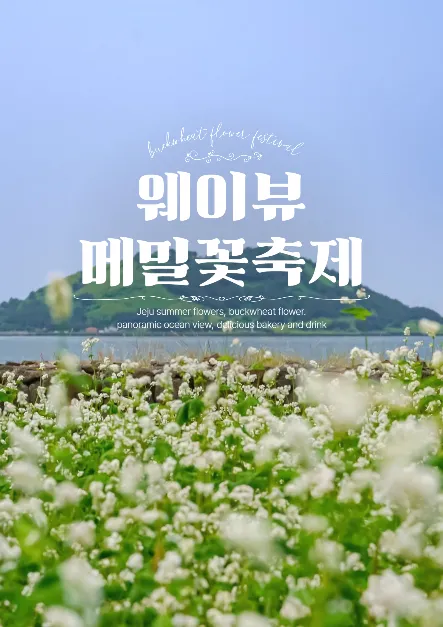웨이뷰 메밀꽃 축제