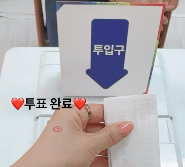 국화 인스타그램