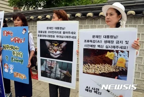 “동물대체시험·오가노이드 혁신”…오가노이드사이언스, 미·유럽 트렌드 확산→시장 변화 촉진