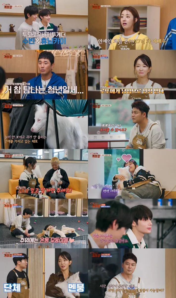 “기적처럼 달라진 눈빛”…집나가면개호강 투바투 휴닝카이·수빈, 감동 교생 실습→현장 들썩 / JTBC