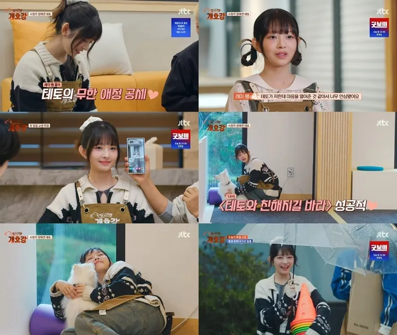 “마음을 여는 한 순간”…아이브 레이, ‘집 나가면 개호강’ 감동 케어→장애견 테토 변화 / JTBC