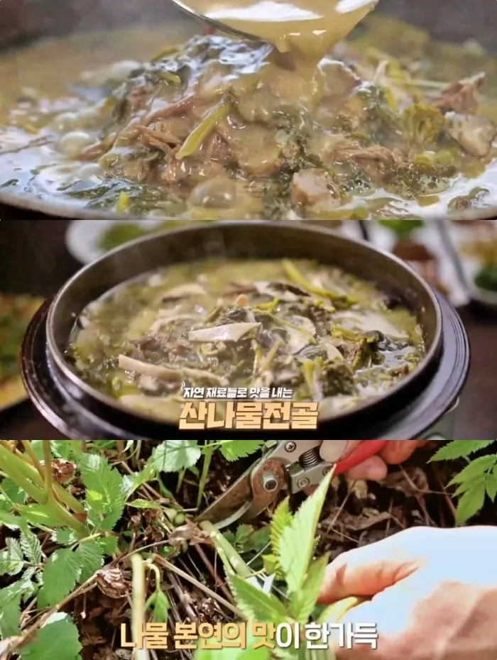 MBN ‘알토란’ 방송 캡처