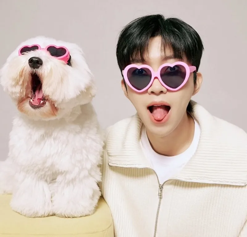 출처=임영웅 SNS