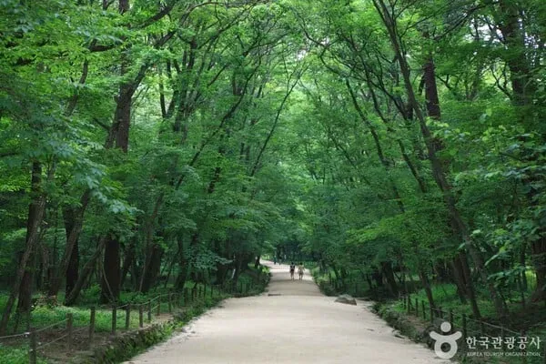 출처=한국관광공사