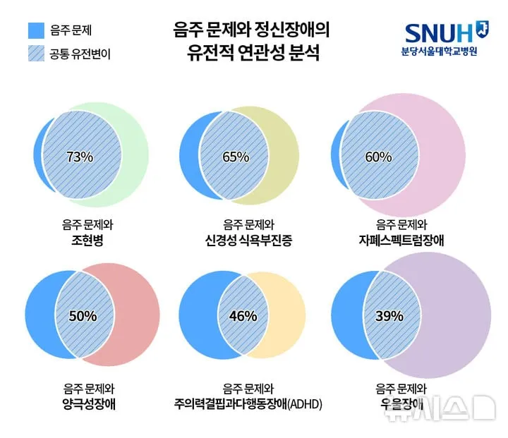 음주와 정신장애 유전자 구조…분당서울대병원, 맞춤의료 새 방향 제시→진단·치료 패러다임 전환
