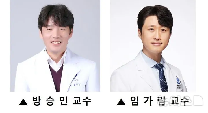 췌장암 오가노이드 혁신”…세브란스, 환자맞춤 신약효과 예측모델→정밀의료 진전