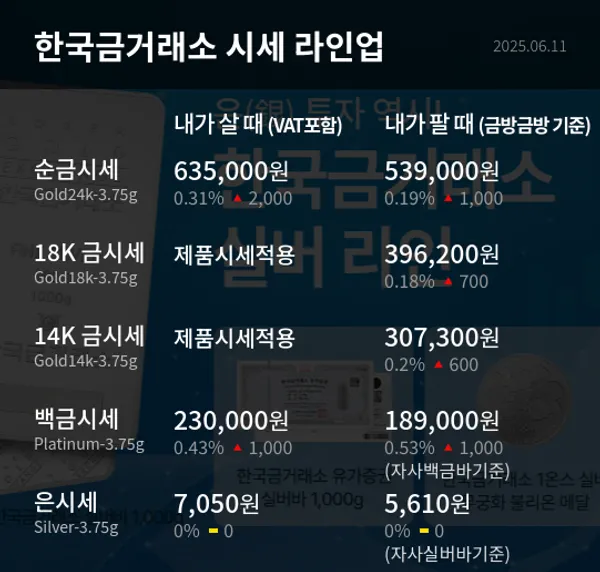 금값 0.31% 상승…백금도 동반 오름세 지속, 귀금속 시장 기대감 확산
