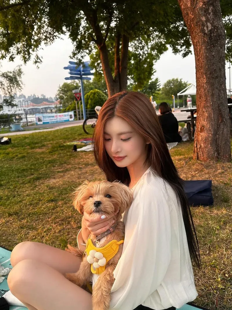 “저녁 햇살 품은 한순간”…이런, 강아지와 노을 아래→따스함 폭발 / 걸그룹 에버글로우 이런 인스타그램