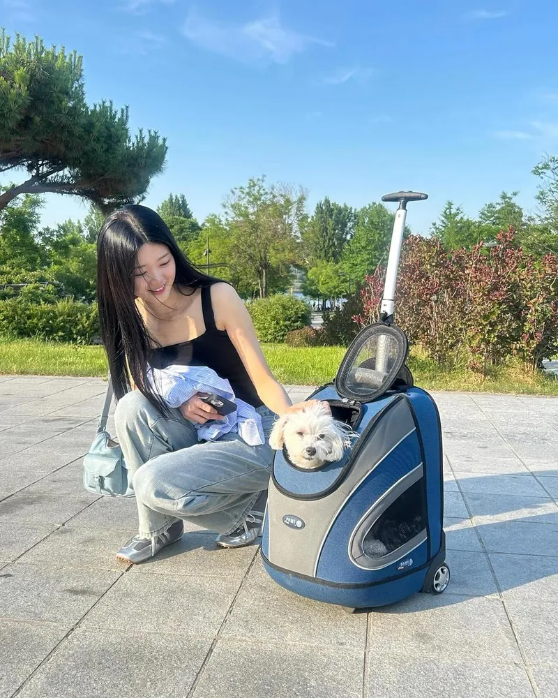 “날씨 좋은 날 산책이 그리워져”…이제연, 반려견과의 청량 오후→햇살 가득한 미소 / 하트페어링 출연자 변호사 이제연 인스타그램