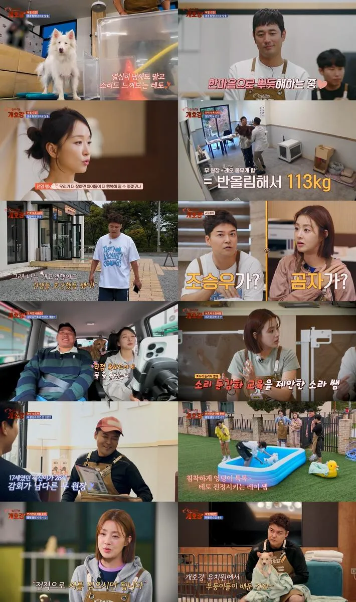 “울컥한 변화의 순간”…김민종·전현무, ‘집나가면개호강’ 체육수업→반려견 성장이 남긴 여운 / JTBC