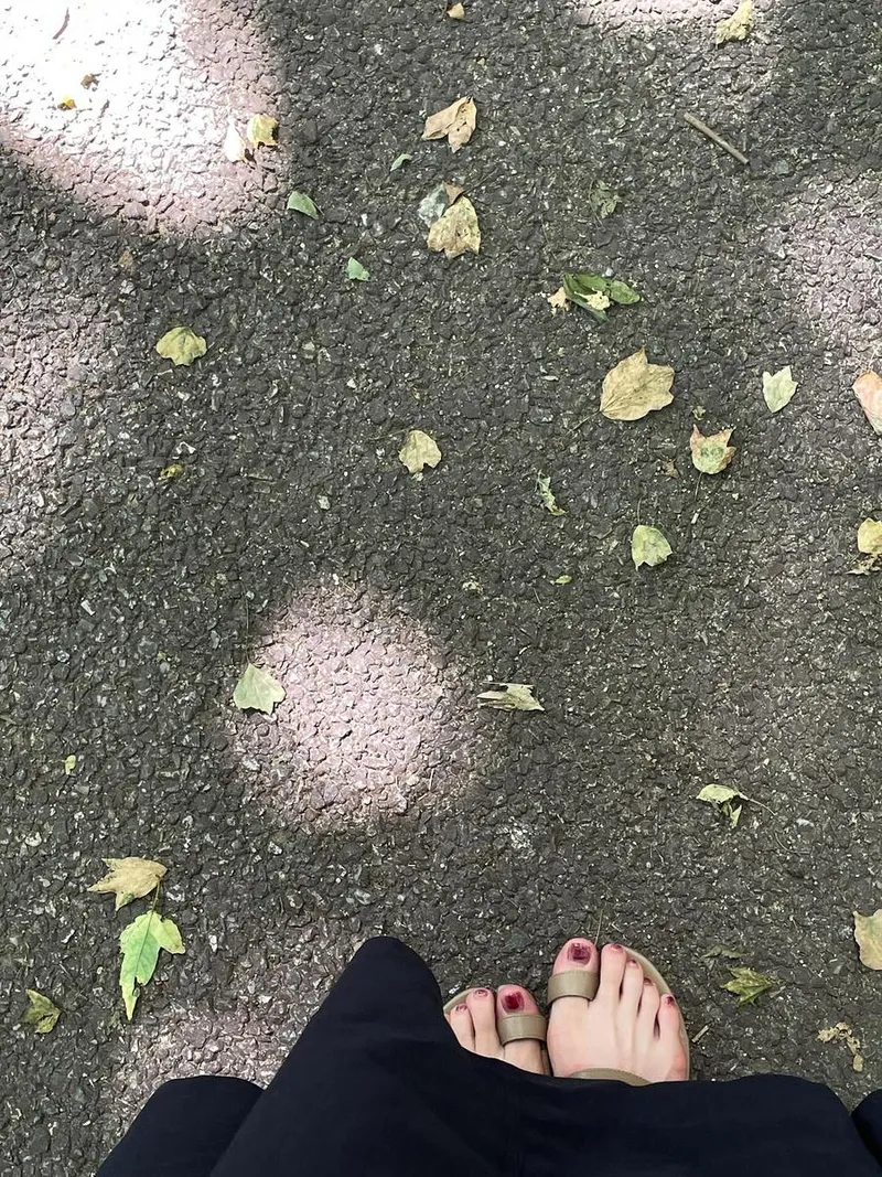 “하늘을 덮은 그늘 아래”…박정화, 여름 산책로→고요한 여운 / 가수, 배우 박정화 인스타그램