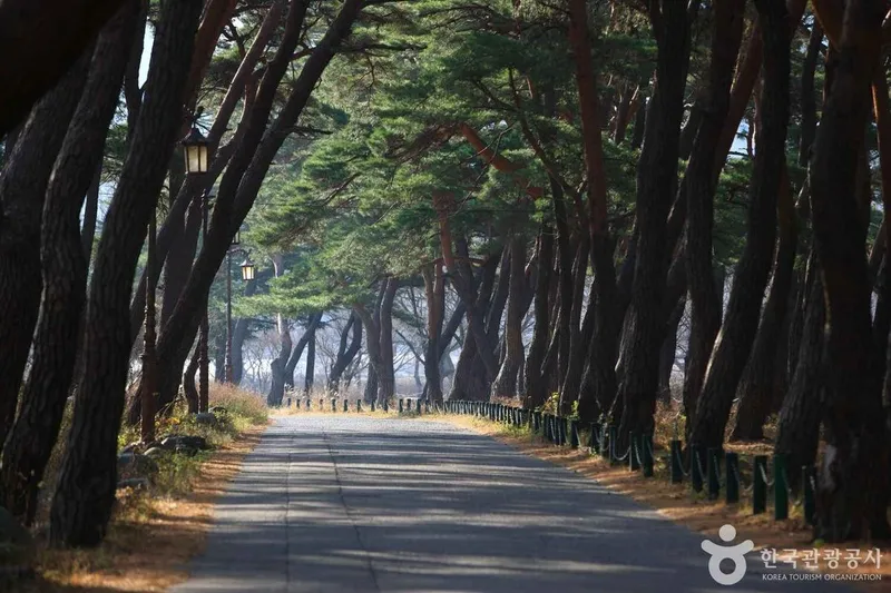 청도운문사(ⓒ한국관광공사 포토코리아-김지호)
