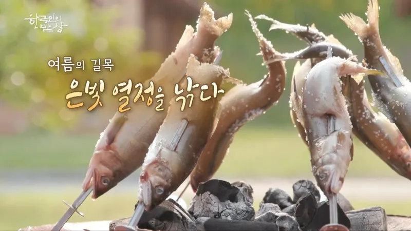 “여름 물살을 가르는 은어”…한국인의 밥상 최수종, 섬진강 은빛 밥상→계절의 맛을 담다