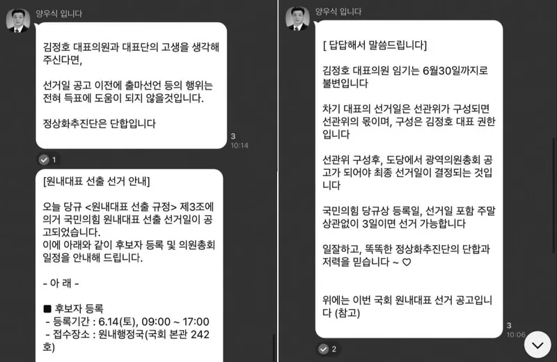 양우식 당원권 정지에도 영향력 행사…국민의힘, 성비위 도의원 논란 확대→추가 징계 방침