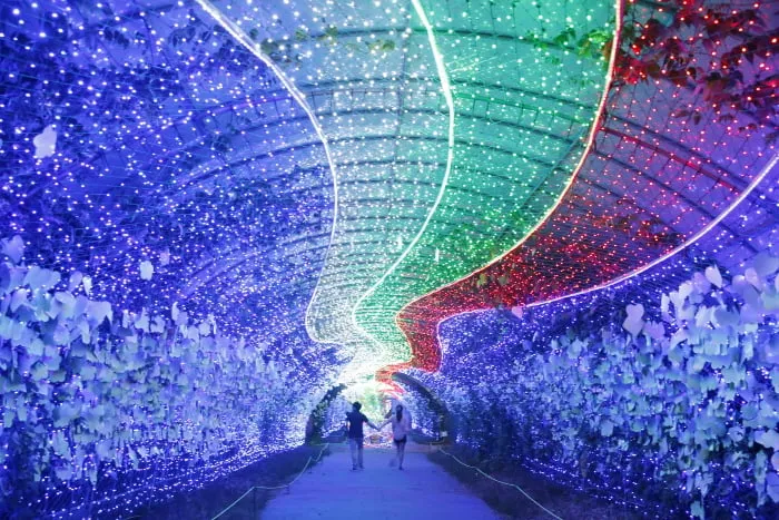 “밤을 수놓는 빛의 향연”…태안 빛축제, 바다와 꽃의 빛으로 채우다 / 네이처월드